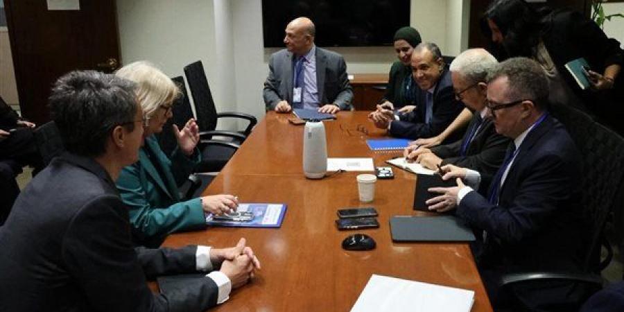 وزير الخارجية يلتقي المدير المنتدب للوكالة الدولية لضمان الاستثمار