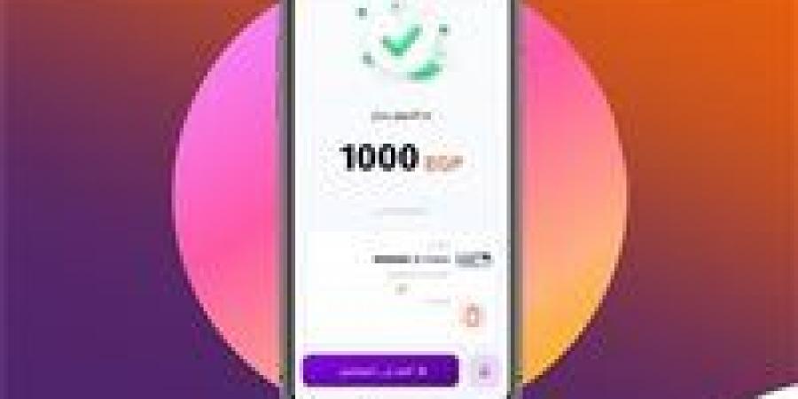 إنستا باي يحدد رسوم التحويل والاستعلامات الجديدة في مصر 2026 رسميًا