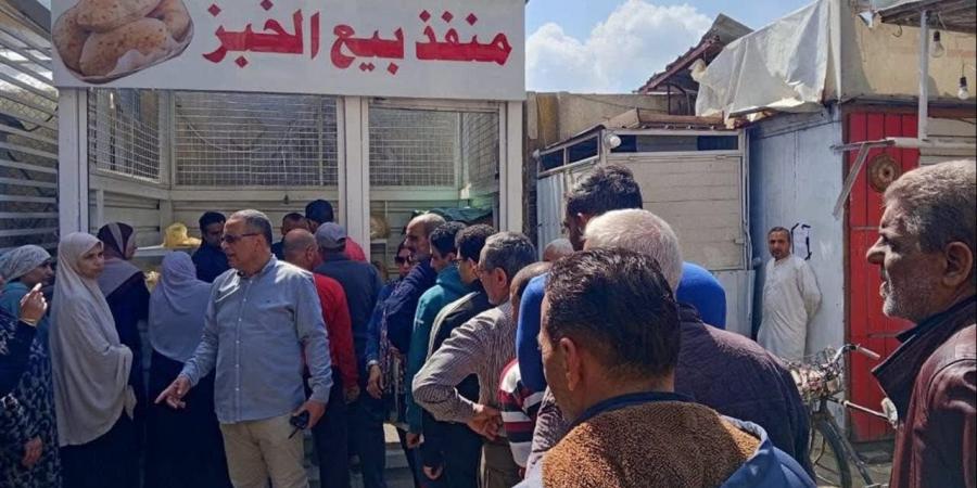 انتشار واسع لمنافذ الخبز المدعم بالمنصورة.. طفرة جديدة لتخفيف الزحام وتيسير الخدمة للمواطنين