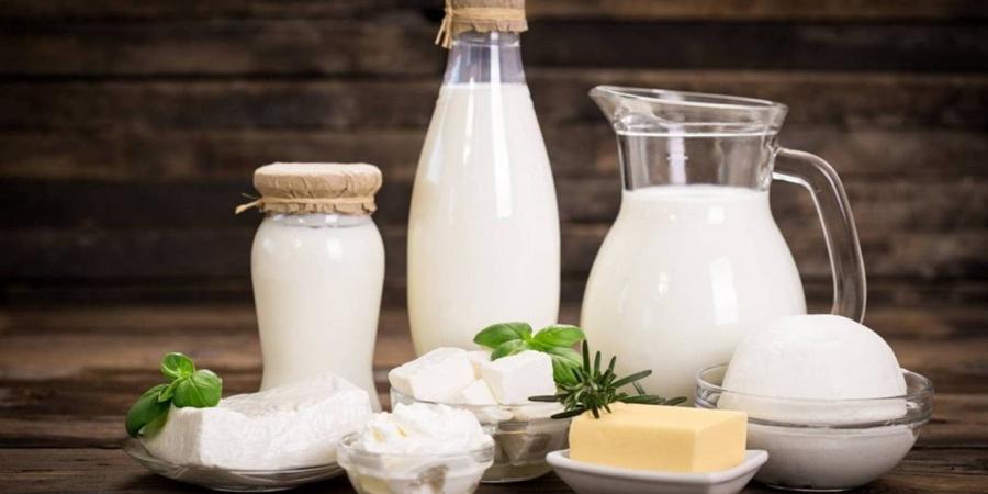 أسعار منتجات الألبان ومشتقاتها بأسواق محافظة الغربية اليوم الثلاثاء 14 إبريل 2026