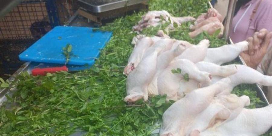 حملات تفتيشية على 49 منشأة غذائية وصناعية بالشرقية