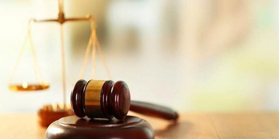 بينهم موظفين.. نظر أولى جلسات محاكمة عصابة تزوير توكيلات السيارات غدا