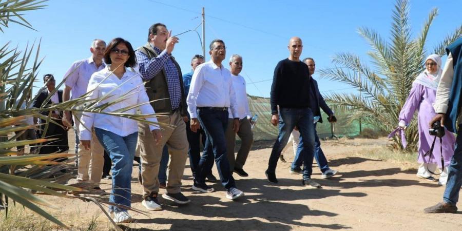 محافظ البحر الأحمر يتفقد مشروع وادى حوضين فى شلاتين