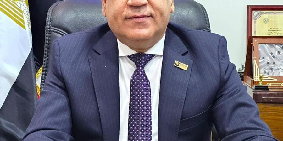 يسري الشرقاوي: أزمة الأسرة في مصر أعمق من القوانين