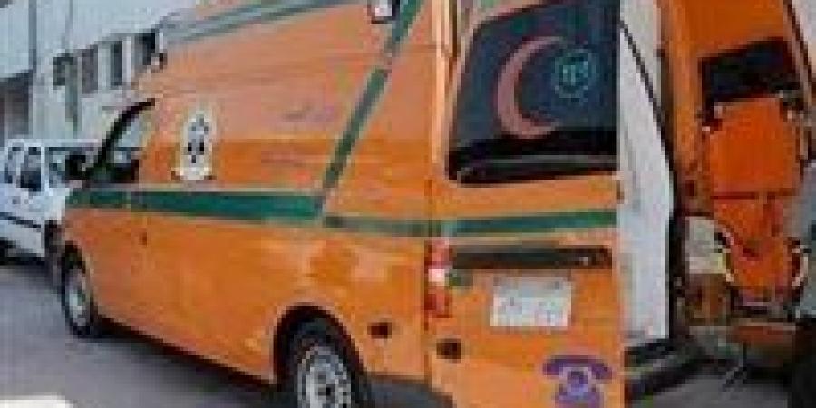 ننشر أسماء 8 مصابين في حادث ميكروباص مدق وادي العفاريت بالمنيا