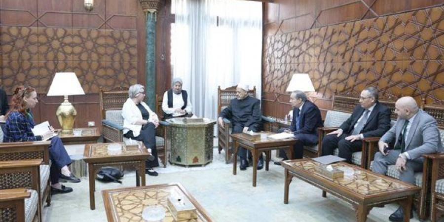 شيخ الأزهر لسفيرة فنلندا: العالم بحاجة إلى عودة القيم الدينية لمواجهة الأزمات المعاصرة