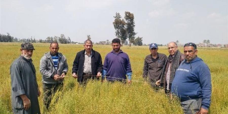 أنشطة مكثفة لدعم مزارعي الشرقية ورفع الإنتاجية