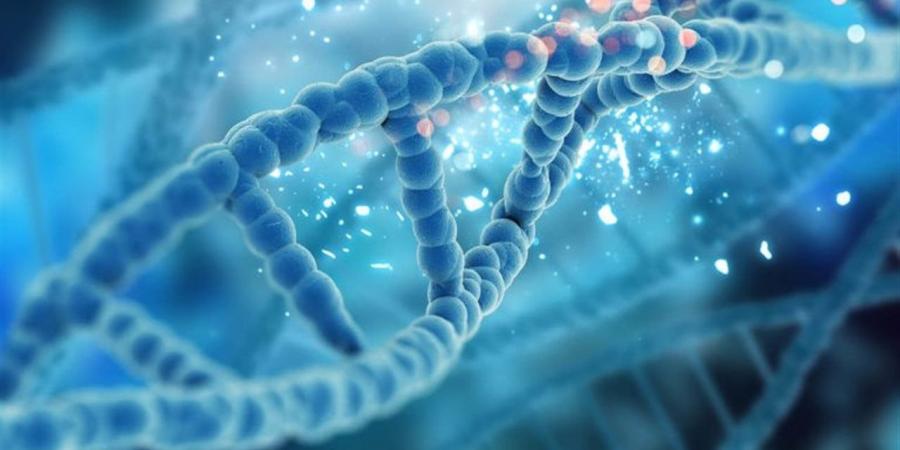 طفرة جينية نادرة تنهي معاناة "مريض أوسلو" مع الإيدز والسرطان معا