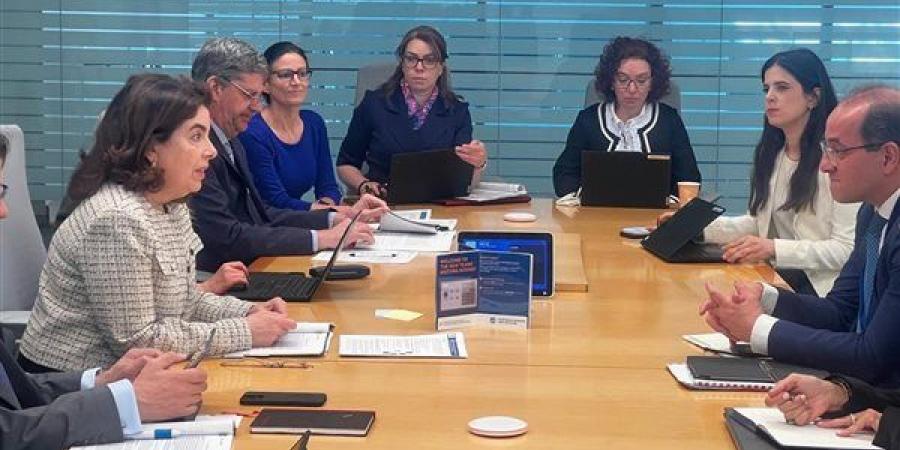 "كجوك" في اجتماعات الربيع: الاقتصاد المصري يواصل تعافيه القوي