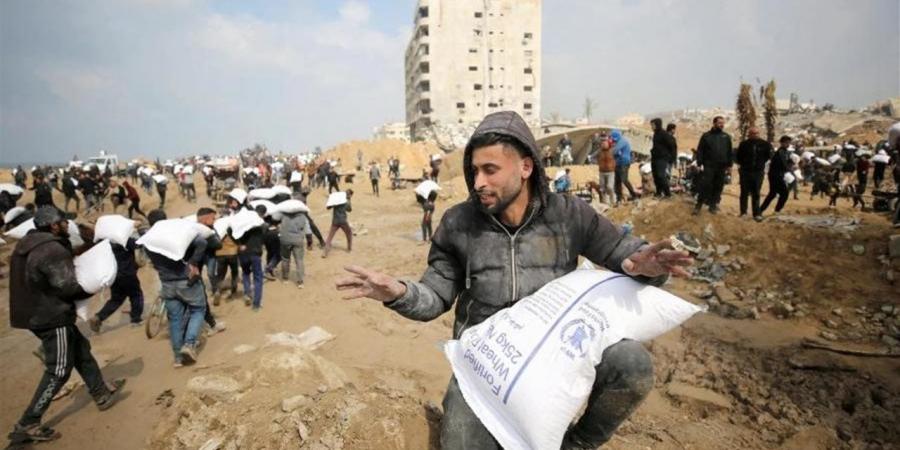 باحث: مصر ترفع غزة المنسية إلى صدارة أجندتها السياسية والدبلوماسية