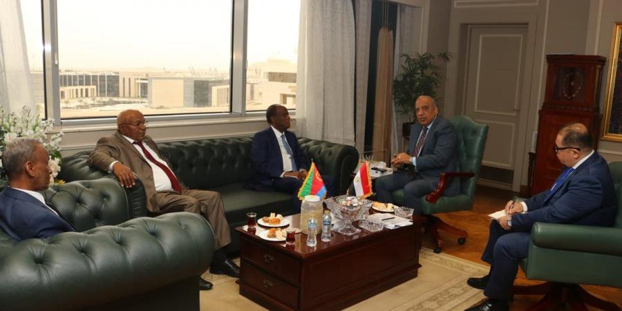 وزير الكهرباء يبحث مع وفد إريتري تعزيز التعاون في مجالات الطاقة المتجددة