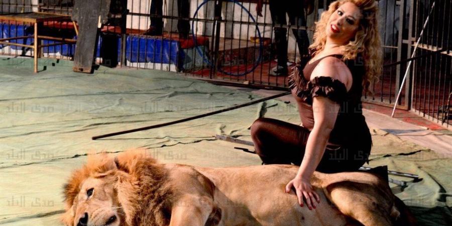 كفالة 20 ألف جنيه.. إخلاء سبيل لوبا الحلو في هجوم شبل أسد على طفلة بالسيرك القومي