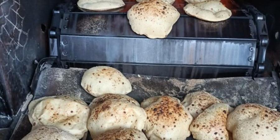 ضبط دقيق مدعم وتحرير 37 محضرا ضد المخابز بالفيوم