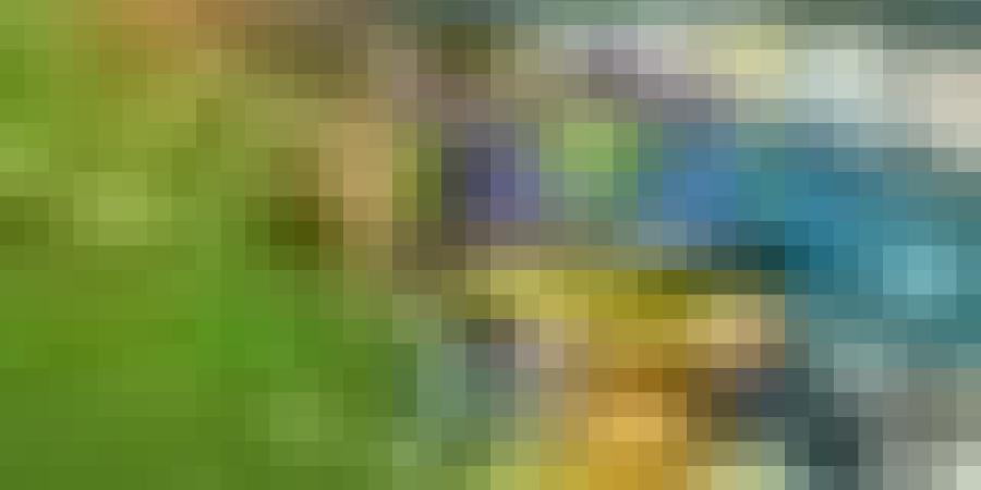 أمن ولاية الجزائر: توقيف 34 شخصا إثر أحداث الشغب التي شهدتها مباراة اتحاد الحراش وجمعية وهران