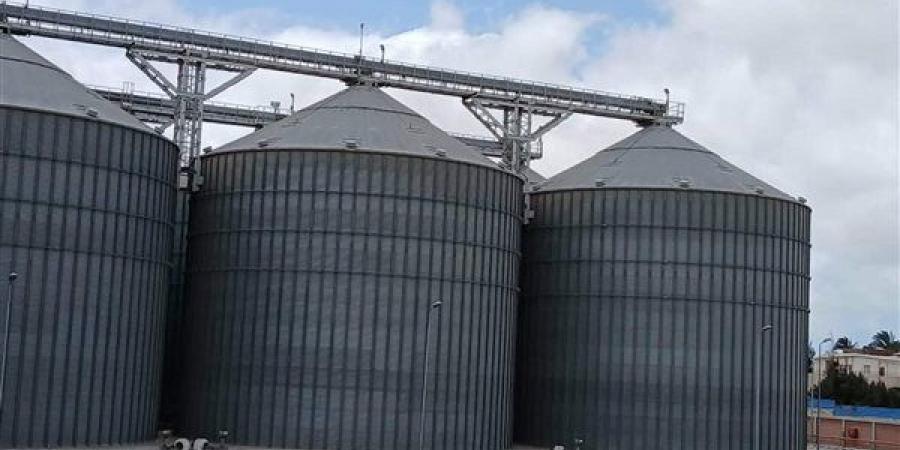 انطلاق موسم توريد القمح بالإسكندرية اليوم.. استعدادات مكثفة