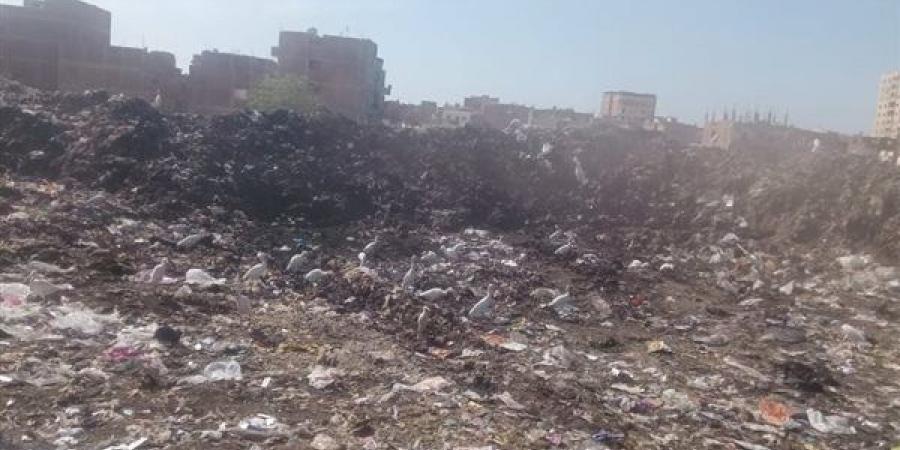 استجابة عاجلة لشكاوى قمامة «مضرب الأرز» بفاقوس