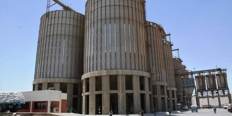 استعدادات مكثفة لموسم توريد القمح بسوهاج