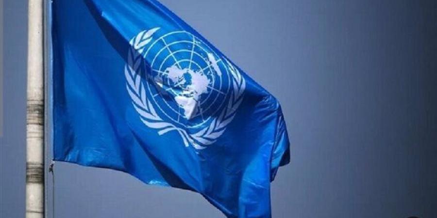 حقوق الإنسان: خبراء الأمم المتحدة يدعون دول الأعضاء لتعليق نقل الأسلحة لإسرائيل