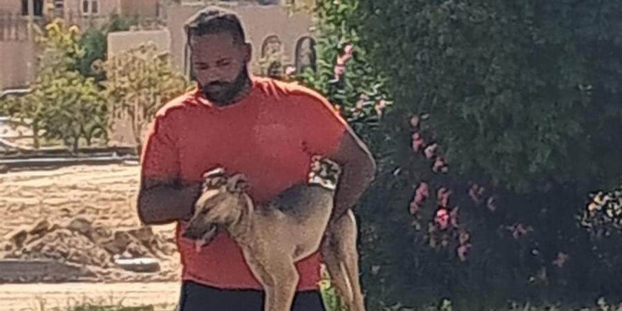 رئيس جهاز بدر يضع خطة متكاملة للحد من المخاطر الصحية ومنع انتشار الأمراض بين الكلاب