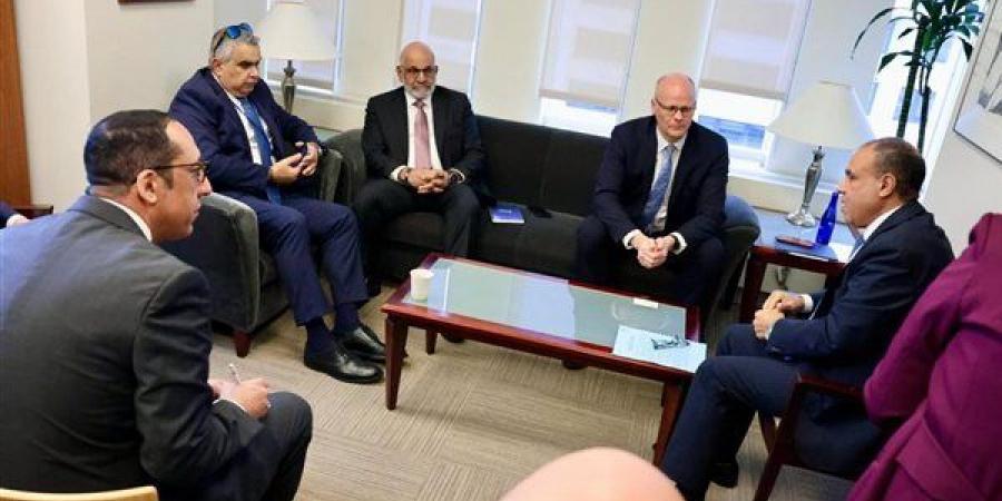 وزير الخارجية يؤكد ثوابت الموقف المصري من القضية الفلسطينية