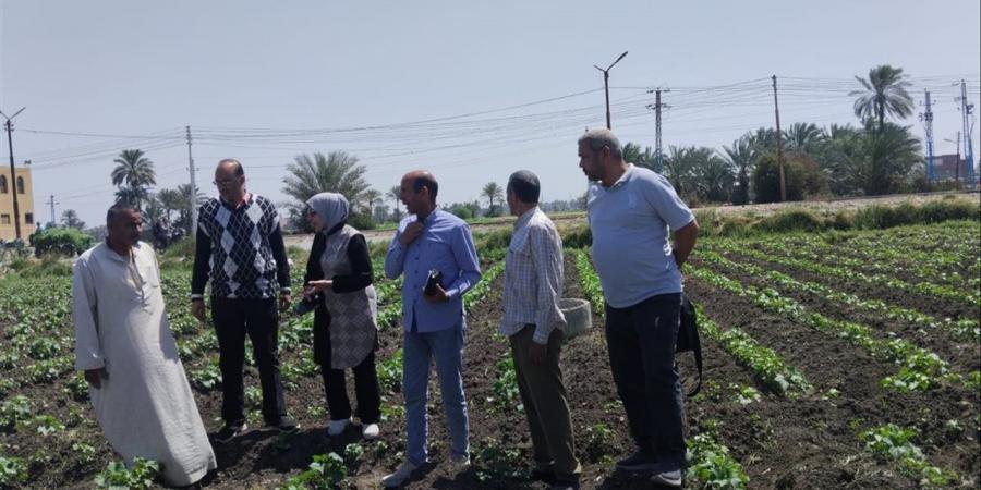 جولات إرشادية مكثفة لدعم مزارعي سنورس وتحسين إنتاجية المحاصيل الحقلية بالفيوم