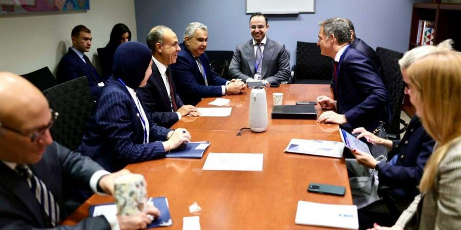 وزير الخارجية: الإصلاح الاقتصادي عزز قدرة مصر على مواجهة الصدمات العالمية