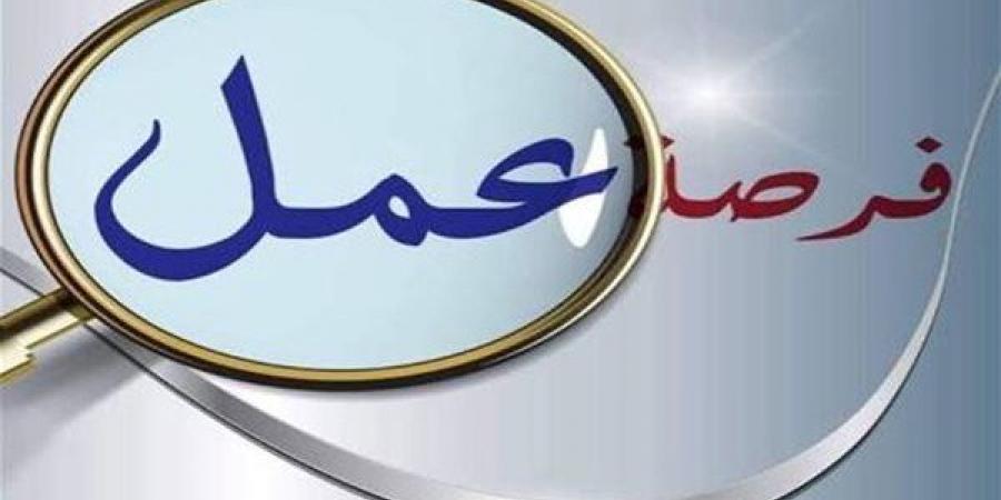 عاجل.. وزارة العمل تعلن عن 9430 وظيفة جديدة للشباب.. التفاصيل