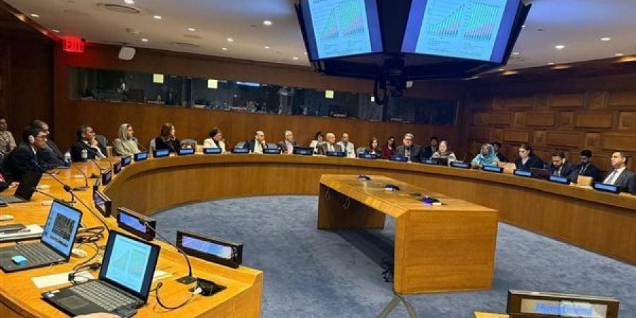 الجامعة العربية في صدارة النقاش الدولي حول الشيخوخة والتنمية المستدامة بالأمم المتحدة