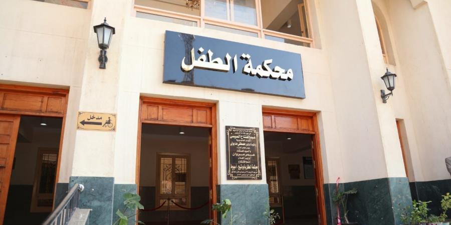 تجديد حبس طفلين بتهمة الاعتداء على زميلهما وتصويره وابتزازه في المرج