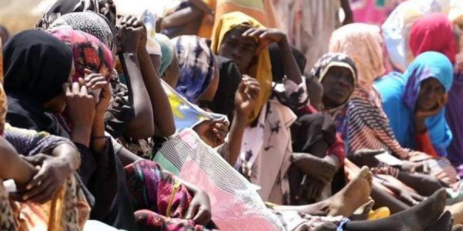 الاتحاد الإفريقي يدعو لوقف فوري لإطلاق النار في السودان وتوحيد جهود الوساطة