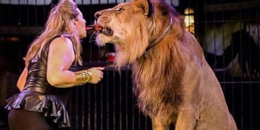 بعد هجوم شبل على طفلة بالسيرك.. إخلاء سبيل لوبا الحلو بكفالة 20 ألف جنيه