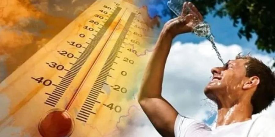 أطعمة تساعد على تقليل تأثير حرارة الصيف