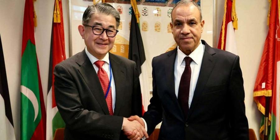 مصر واليابان تبحثان تعزيز التعاون التنموي والاستثماري بمشاركة "جايكا"