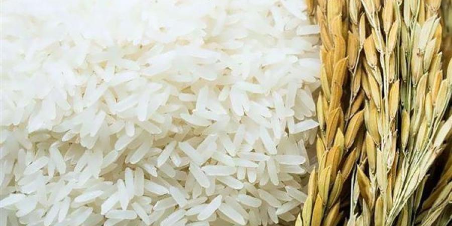 اختبار أصناف من الأرز والقمح لمواجهة ندرة المياه