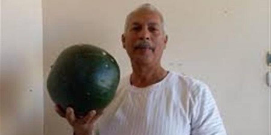 نقيب الفلاحين: يكشف أسباب ارتفاع اسعار البطيخ