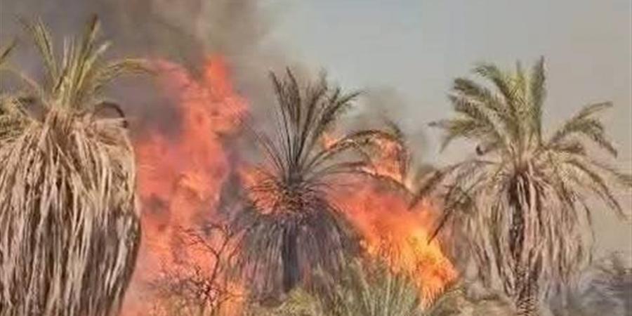 رئيس مركز الداخلة: الدفع بعدد كبير من سيارات الإطفاء للسيطرة على حريق قرية العوينه