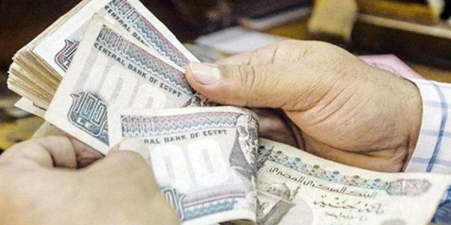 7500 جنيه شهريًا.. كيف تستفيد من شهادات الادخار؟