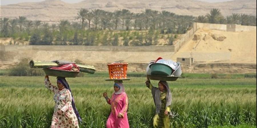 نهضة زراعية متكاملة.. «حياة كريمة» تعيد الحياة لأراضي الريف وتدعم المشروعات الإنتاجية