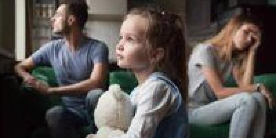 رئيس مركز المعلومات الأسبق: معدلات الطلاق ترتفع بعد تعديل سن الحضانة