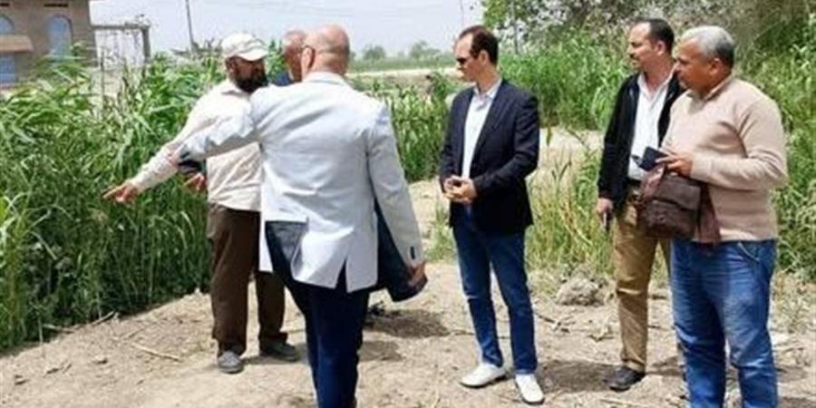 "الزراعة" تتابع إزالة التعديات بالبحيرة.. و211 حالة خلال أسبوع بالمحافظات