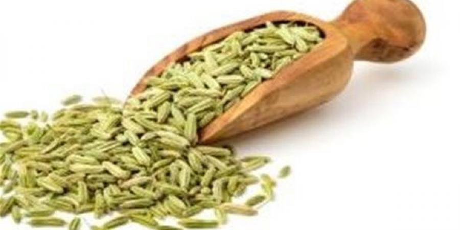 الشمر الكنز الحقيقي لدعم صحة المرأة .. تعرفوا عليه