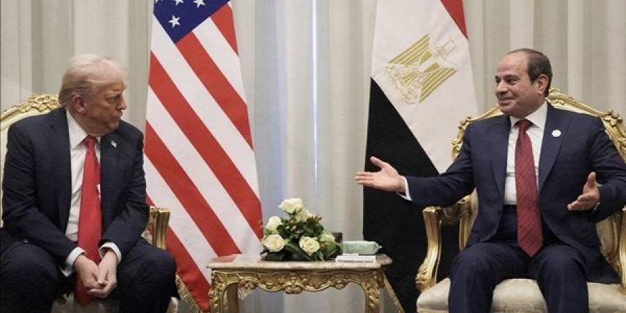 خبير: مصر تلعب دور "الوسيط التاريخى" والفعال في احتواء الأزمات الدولية المعقدة