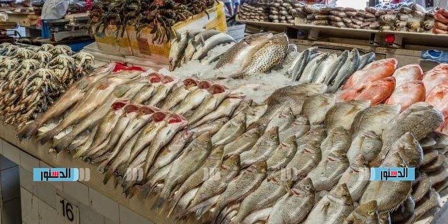 استقرار أسعار الأسماك والمملحات في البحيرة اليوم