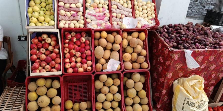 محافظ الدقهلية: متابعة يومية للأسعار بالمعرض الدائم للسلع الغذائية بغرب المنصورة