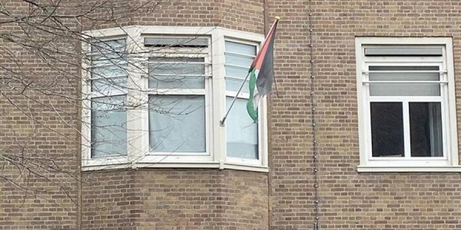 علم فلسطين يرفرف فى سماء مدينة العدالة