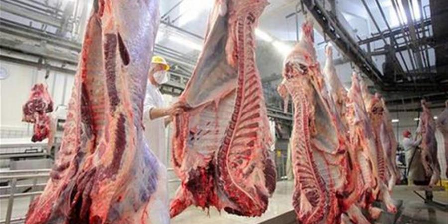 أسعار اللحوم الطازجة والمجمدة اليوم فى محافظة البحيرة
