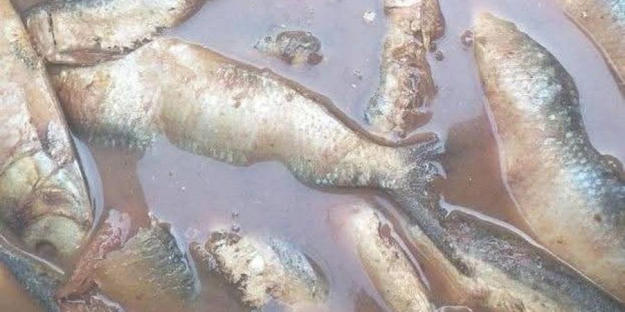 ضبط 64 مخالفة في حملات تموينية على الأسواق بالفيوم