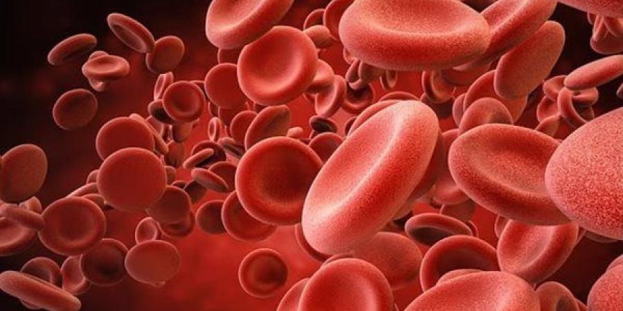 دراسة حديثة تربط نقص الحديد بزيادة خطر الخرف ومرض الزهايمر