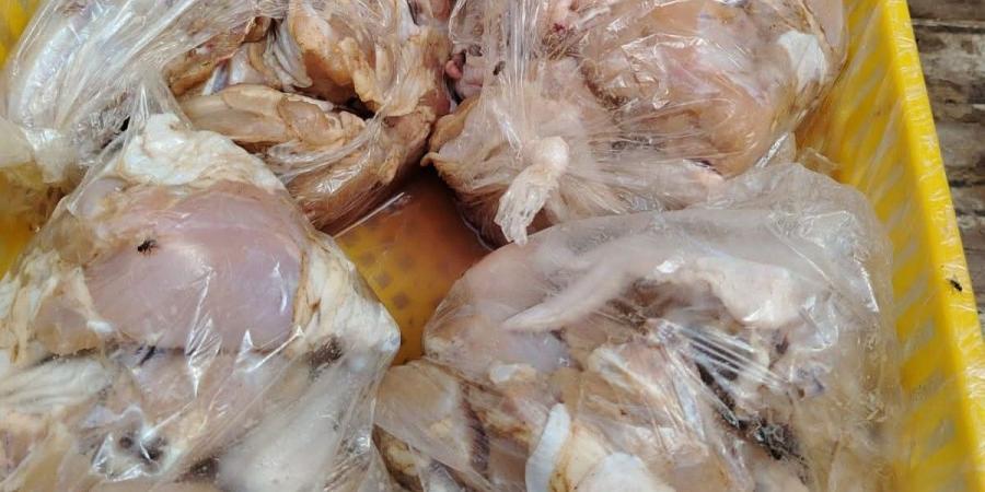 ضبط 150 كيلو قطع دواجن فاسدة وغير صالحة للاستهلاك بالفيوم