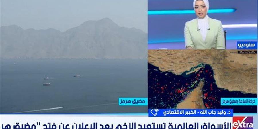 خبير اقتصادي: فتح مضيق هرمز قد يدفع أسعار النفط للتراجع